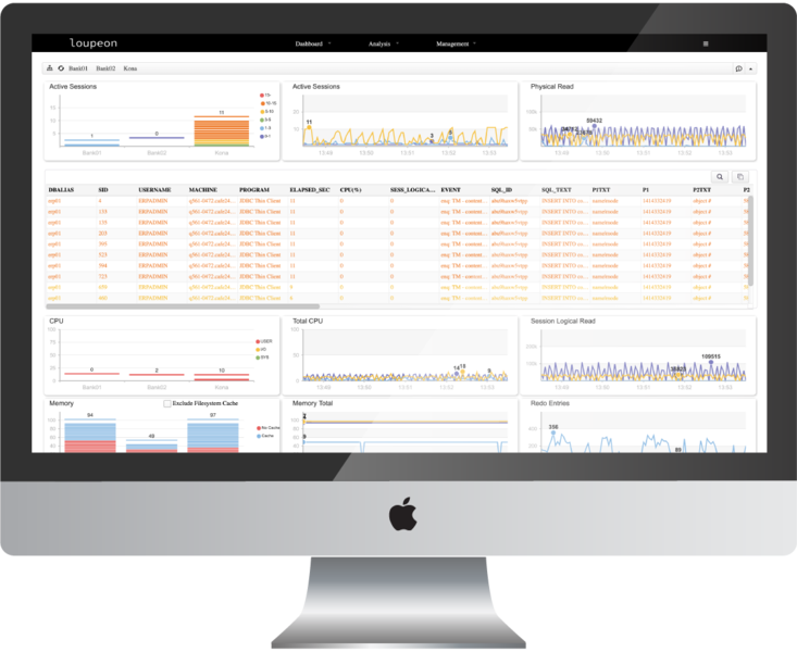 LOUPEON Database Performance Monitoring LOUPEON Database Performance Monitoring
